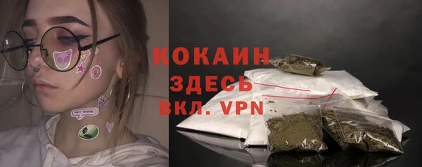 сатива Абинск