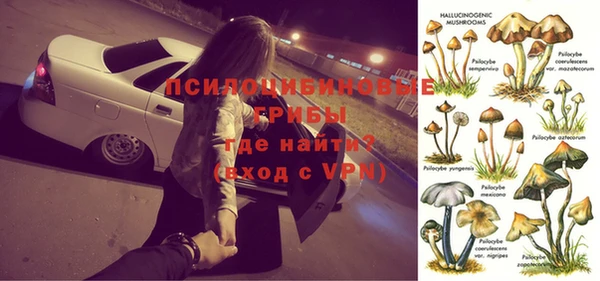 СК Абаза