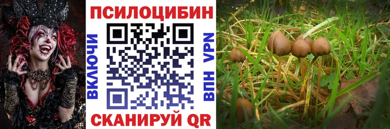 Галлюциногенные грибы мухоморы  Калачинск 